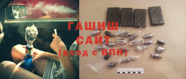хмурый Белокуриха
