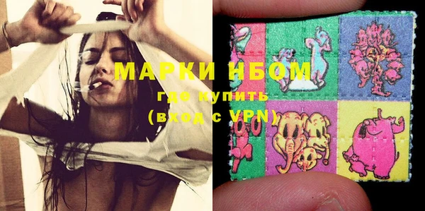 хмурый Белокуриха