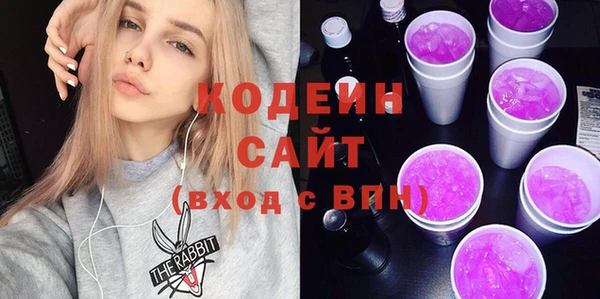 хмурый Белокуриха