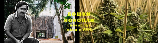 ешки Белоозёрский