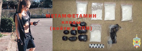 хмурый Белокуриха