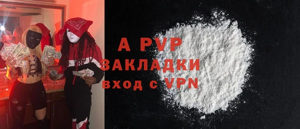 хмурый Белокуриха