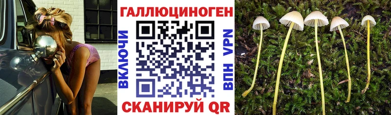 гидра как войти  Вуктыл  Галлюциногенные грибы Cubensis  где купить наркотик 